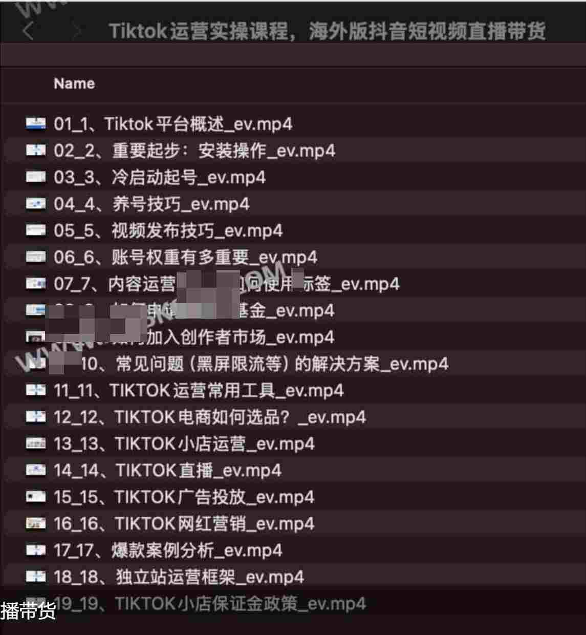 Tiktok运营实操课程，海外版抖音短视频直播带货.png